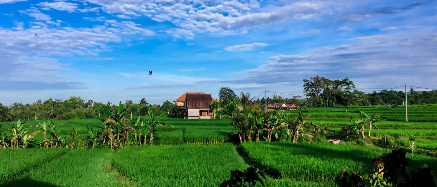 Bali Silent Retreat