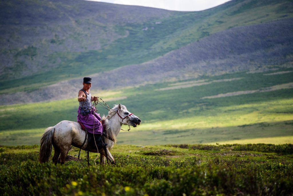 Mongolia Travel, Nomad riding a Mongolian horse