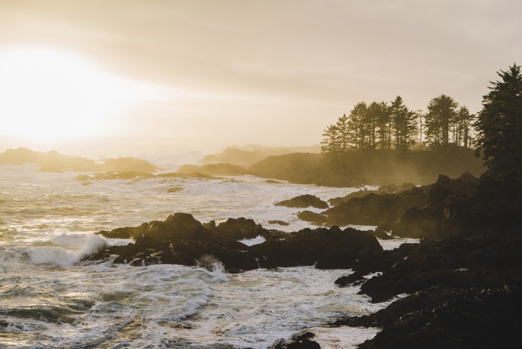 Vancouver Island, BC, Canada. Small Group Tours. Hiking. Launch Your Travels